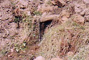 Image of Work at Spring in Damakase
